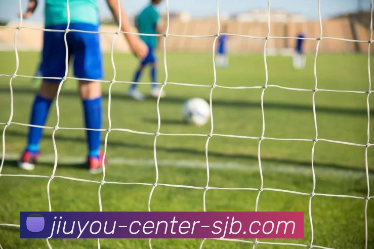 MK体育，MK体育入口， MK体育官方网站，MK体育下载发展历程